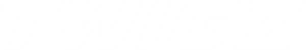 TWIGZ